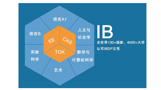 IB课程辅导