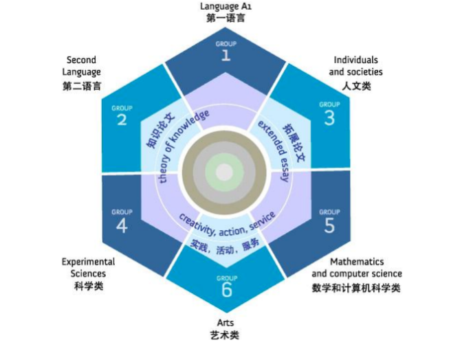 为什么选择IB课程