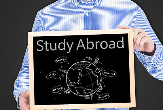 1774230908714878.jpg 8.jpg